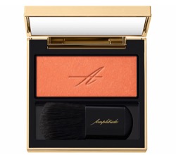 アンプリチュード コンスピキュアス モノチークス