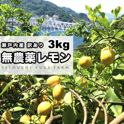 無農薬レモン