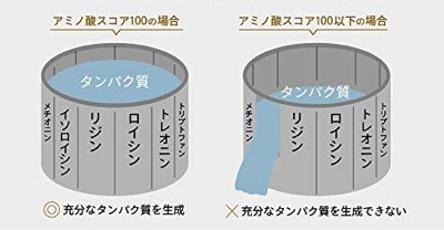 スロープロテイン ホエイ カゼイン プロテイン