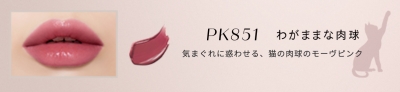 紗栄子さんのレビューの内容まとめ　「ネンマクフェイク　ルージュ」　PK851　わがままな肉球