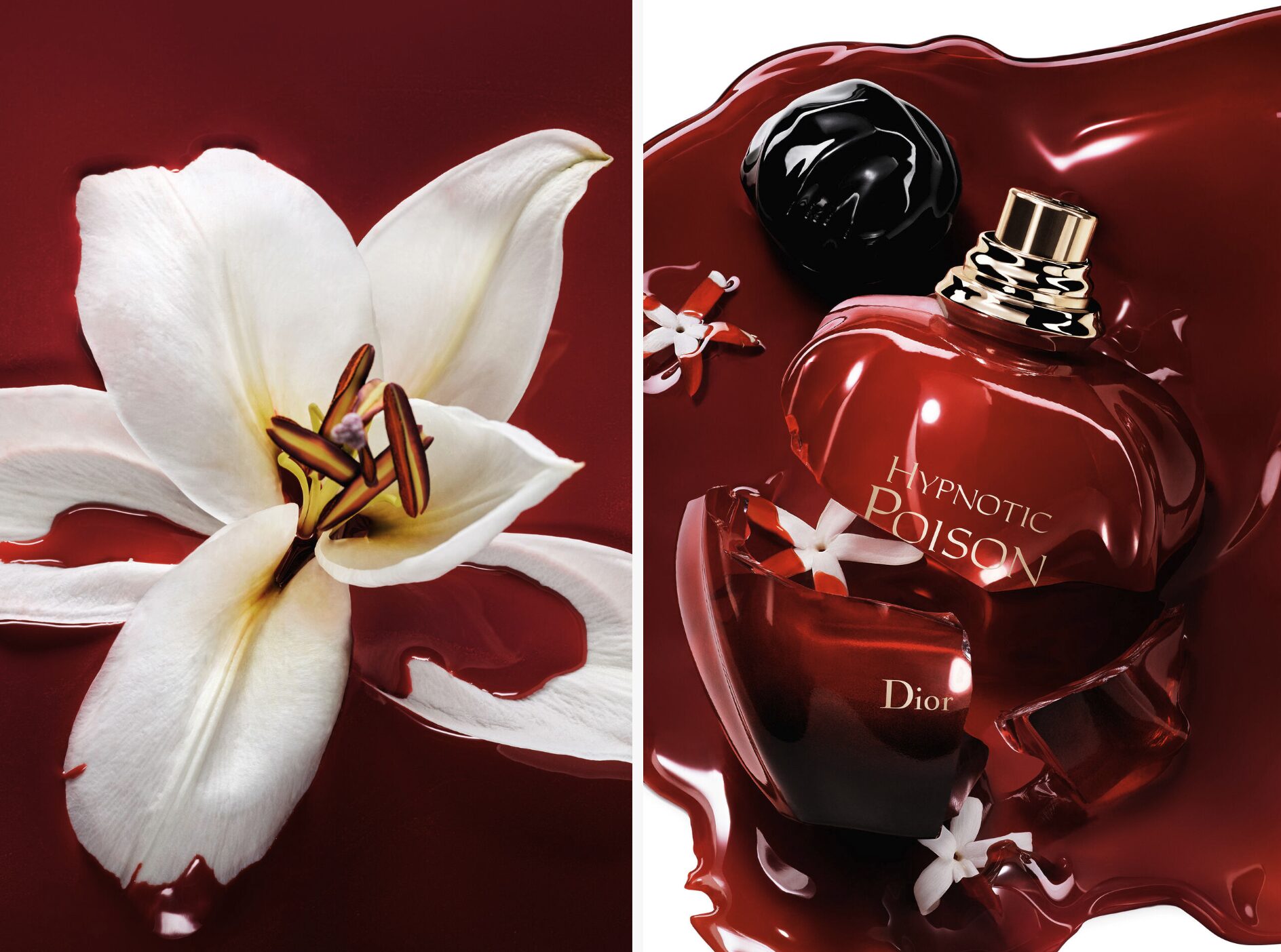 大森元貴（ミセス）の愛用香水はDiorのヒプノティックプワゾン！値段・買い方・似てる香水も徹底解説♪